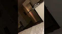 WATCH THIS before buying an Insignia fridge. Animal mooing NOISE in the middle of the night.