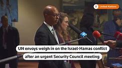 Israel UN envoy decries 'war crimes,' UN Security Council meets