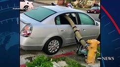 Fire department shows what happens when you park in front of a hydrant
