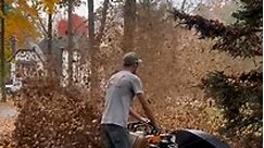 Take a look at this awesome leaf blower in action 💨🍃