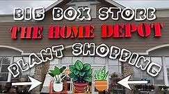PLANT SHOPPING | Big Box Store HOME DEPOT | California Prices! DOLLAR TREE Houseplant Supplies