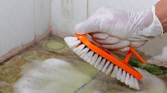 How to Get Rid of Mold - 8 Mold Busters That Actually Work