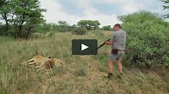 Safari Tourism: Paying to Kill