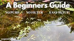 A beginners guide to building a small fish pond with no pump or filter