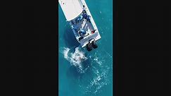 Bull shark repeatedly and violently attacks Florida fishermans boat