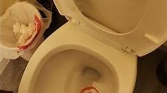 Flushing Target Down The Toilet