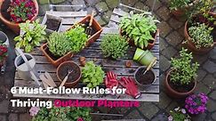 6 Must-Follow Rules for Thriving Outdoor Planters