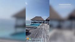 Paris Hilton swims in the Maldives wearing a pineapple swimsuit