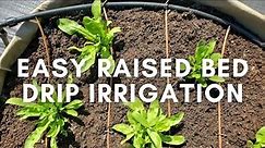 Easy Raised Bed Drip Irrigation System (Connected to Faucet or Spigot)