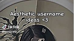 Aesthetic Username Ideas for TikTok and More