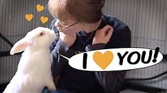 7 Ways to Know Your Rabbit Loves You
