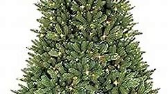 Puleo International 9 Foot Pre-Lit Fraser Fir Artificial Christmas Tree with 1,000 Clear Lights, Green