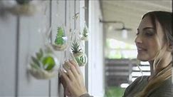 Pier 1 Imports: Hanging Succulents for Your Outdoor Hangout
