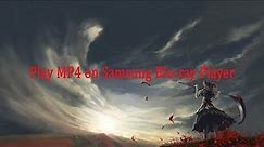 Play MP4 on Samsung Blu-ray Player