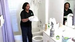 House Cleaning - Toilets