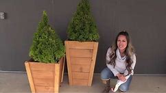 Build your own Tall Wood Planters