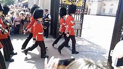 Queen's Guard falls over during the Changing of the Guard
