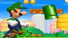 New Super Luigi Bros. DS - 100% Walkthrough Part 1 - World 1: Plains