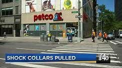 Petco will stop selling electronic 'shock' collars