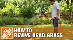 How to Grow Grass with Dead Grass Spots | The Home Depot