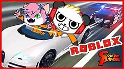 BUYING THE MOST EXPENSIVE CAR IN ROBLOX Mad City Let's Play with Combo Panda & Alpha Lexa