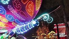 Dollywood - Nights filled with parades and colorful lights...