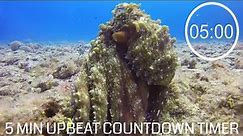 5 Minute Countdown With Upbeat Music - ⏲ Octopus 🐙- 5 minute pack up timer, uplifting music