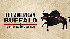 The American Buffalo:Official Trailer