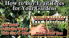 How to Buy Fruit Trees for Your Gardens and Edible Landscapes: Fall is for Planting & Chill Hours