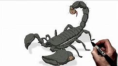 How To Draw A Scorpion | Step By Step