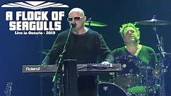 A Flock Of Seagulls - Space Age Love Song - Live in Ontario 2019 Video HD