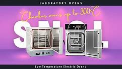 SNOL Laboratory Ovens - Chamber ovens up to 300°C