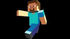 Minecraft Steve (Bits Memes)