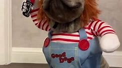 Dog Dressed like Chucky from Child's Play is Ready for Halloween