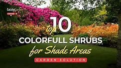 10 Shrubs That Will Add Color and Thrive in the Shade 🌸🌳🌷 // Gardening Tips