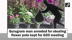 Gurugram man arrested for stealing flower pots kept for G20 meeting - video Dailymotion