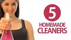 5 Homemade Cleaners! DIY Cleaning Products! Easy Ways to Save Money & Stay Clean! (Clean My Space)