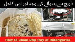 How To Clean Refrigerator Fridge Freezer Drip Tray Drain Waste Tank | Fridge Saaf Krny Ka Tarika