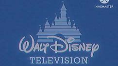 Walt Disney Television (2001)