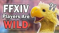 Weirdest Names FFXIV Players Give to Their Chocobos