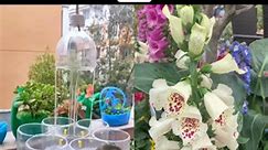Beautiful Diy pots for your garden 🪴 #diy #flowerpots #recycledmaterials | Rodalia Duran Malbin