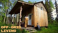 Summer Cabin Life Alone In Alaska | ASMR | Firewood, Fishing, Catch & Cook, Building
