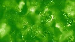 Free HD Relaxing Screensaver | Green Glitter Particles Moving Background