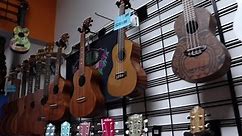 B's Music Shop - Find all this & more at your local music...