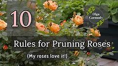 10 Rules for Trimming Roses