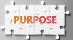 50 Purpose Quotes That Will Give Your Life Direction