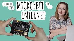Connect your microbit to the internet and send data easily using Seluxit Wappsto bit