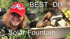 How to Make the EASY CHEAP Hummingbird Bird Bath DIY Solar Water Fountain $1 Nature for Garden