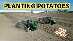 Potato Planting: Massive Fields, Powerful Machinery! John Deere tractors! Lockwood Planters!