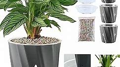 3 Pack-6.5 Inch Self Watering Plant Pot for Indoor Plants,African Violet Pots with Indicator,Large Orchid Pot with Clear Wick Pot,Self Watering Planters with Air Hole for Home Decor(Grey)